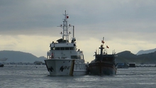 Đưa 11 ngư dân tàu cá Bình Định BĐ 98658 TS gặp nạn về đất liền an toàn