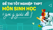 Đề thi môn Sinh học tốt nghiệp THPT quốc gia 2022