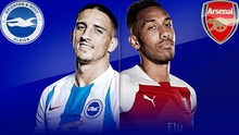 Link xem trực tiếp bóng đá. Brighton vs Arsenal. K+PM trực tiếp bóng đá ngoại hạng Anh