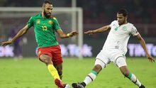 Dự đoán nhà cái Algeria vs Cameroon. Nhận định, dự đoán bóng đá vòng loại World Cup (02h30, 30/3)