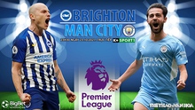 Dự đoán nhà cái Brighton vs Man City. Nhận định, dự đoán bóng đá Ngoại hạng Anh (23h30, 23/10)