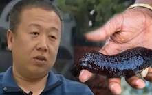 Chàng phú nhị đại bỏ bất động sản đi tìm vàng dưới nước: Dốc tiền mua hàng tấn đá đổ xuống biển, 5 năm sau thu về thứ không ai ngờ tới