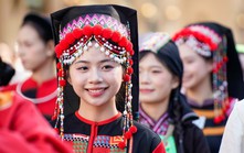 Mô hình dữ liệu kinh tế sáng tạo của WIPO: Kinh nghiệm cho phát triển công nghiệp văn hóa Việt Nam