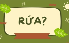 Chữ và nghĩa: Vẻ đẹp phương ngữ