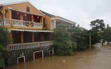 UNESCO hỗ trợ khẩn cấp Việt Nam bảo vệ di sản văn hóa sau thiên tai