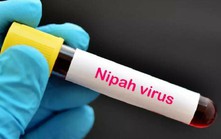 Thái Lan cảnh báo trẻ nhỏ là nhóm dễ bị tổn thương nhất do virus Nipah