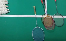 Pickleball đang đe dọa 'ngai vàng' của cầu lông Đông Nam Á