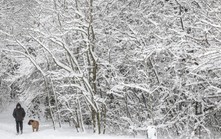 Châu Âu chật vật trong băng tuyết, ít nhất 8 người thiệt mạng