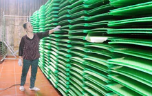 Vì một miền quê đáng sống: Từ hạt gạo quê nhà đến tấm bánh đa nem vươn xa 