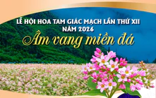 Lễ hội hoa tam giác mạch lần thứ XII năm 2026: "Âm vang miền đá"