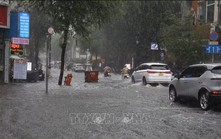 TP. Hồ Chí Minh: Dự báo triều cường vượt báo động III, nguy cơ ngập kéo dài 