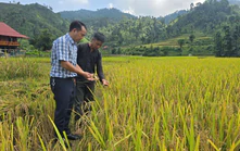 Vì một miền quê đáng sống: "Bản Liền xanh" gọi bước chân du khách