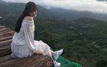 Ngôi sao bóng chuyền nữ Việt Nam chịu nỗi đau lớn ngay trước giải đấu quan trọng 