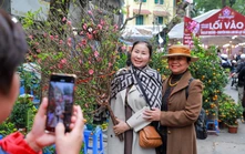 Rực rỡ sắc Xuân giữa lòng phố cổ