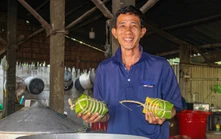 Hương vị Tết phương Nam giữa nhịp sống hiện đại