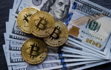 Gần 500 tỷ USD “bốc hơi” khỏi thị trường tiền kỹ thuật số, đồng Bitcoin lao dốc