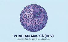 Phụ nữ mang thai mắc sùi mào gà: "Bó tay" chờ đẻ hay đối diện nguy cơ lây cho con?