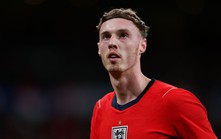 Cửa Palmer đến MU ngày càng rộng mở