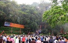 Ngẫm ngợi cuối tuần: Trở về đất tổ