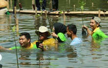 Indonesia hoàn thiện khung pháp lý, đẩy nhanh chương trình định giá carbon xanh