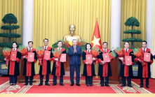 Tổng Bí thư, Chủ tịch nước Tô Lâm trao quyết định bổ nhiệm Thẩm phán Tòa án nhân dân tối cao