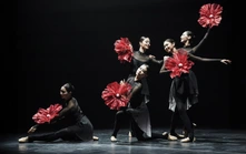 Đêm ballet 'GAT' mở đầu chuỗi giao lưu văn hóa Việt - Hàn