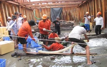 Khai quật tàu đắm Bình Châu: Những chiếc đĩa sứ cung đình trong khoang thuyền
