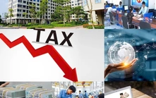 Cắt giảm hơn 3.400 thủ tục hành chính, điều kiện kinh doanh