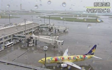 Bão Jangmi tiến gần Tokyo: Các hãng hàng không Nhật Bản hủy chuyến bay