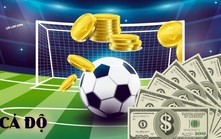 Thơ World Cup: Cá độ bóng đá phải dè