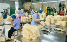 Biến di sản thành tài sản: Hướng đi mới cho làng nghề