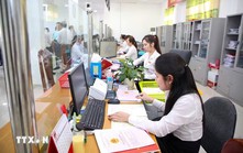 Viên chức được xếp lương theo bậc nghề nghiệp của vị trí việc làm