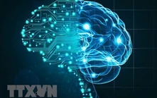 Nhà kinh tế đoạt giải Nobel: AI có thể sẽ không đưa kỷ nguyên tăng trưởng năng suất cao trở lại