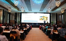 Tăng tốc thu hút khách quốc tế đến Việt Nam
