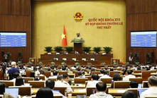Kỳ họp không thường lệ thứ Nhất, Quốc hội khóa XVI: Xây dựng các cơ quan xuất bản, truyền thông chủ lực quốc gia
