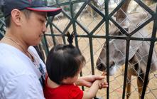 Hà Nội nghiên cứu mô hình công viên động vật bán hoang dã tại ngoại thành