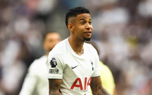 Bi kịch Tottenham