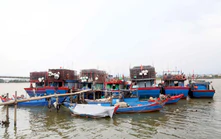 Khẩn trương đưa tàu thuyền vào nơi tránh trú áp thấp nhiệt đới
