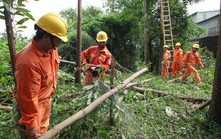EVN tập trung bảo đảm điện trong mùa mưa bão