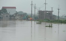 Hà Nội bác tin đồn vỡ đê tả Bùi