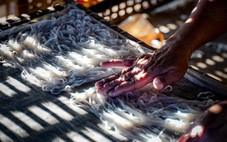 Tôn vinh những giá trị truyền thống và sáng tạo độc đáo của ẩm thực Việt Nam