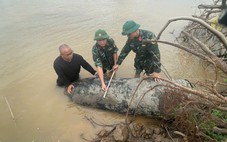 Xử lý an toàn 2 quả bom được phát hiện gần bãi giữa sông Hồng