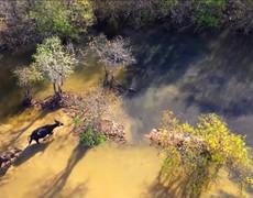 Mỗi thước phim - một Đại sứ Du lịch từ cuộc thi “Ấn tượng Du lịch Việt Nam”