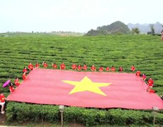 Cao nguyên Mộc Châu đón hàng ngàn lượt du khách dịp nghỉ lễ