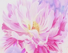 Cuộc đối thoại của 9 họa sĩ đương đại với màu nước