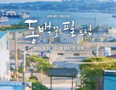 Du lịch: Pohang - Bối cảnh tuyệt đẹp của phim “Khi cây trà trổ hoa”