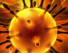 Cảnh báo: Virus corona mới có thể lây từ người sang người trong vòng 15 phút 