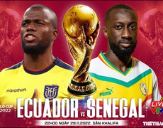 VIDEO: Chuyên gia nhận định Ecuador vs Senegal, 22h00 ngày 29/11, World Cup 2022