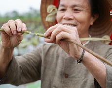 Nghệ nhân Phan Thị Thuận: Rút sợi tơ sen dệt lụa