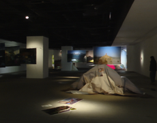 "Miền trập" - Khi nhiếp ảnh và trình diễn giao thoa trong không gian chuyển động